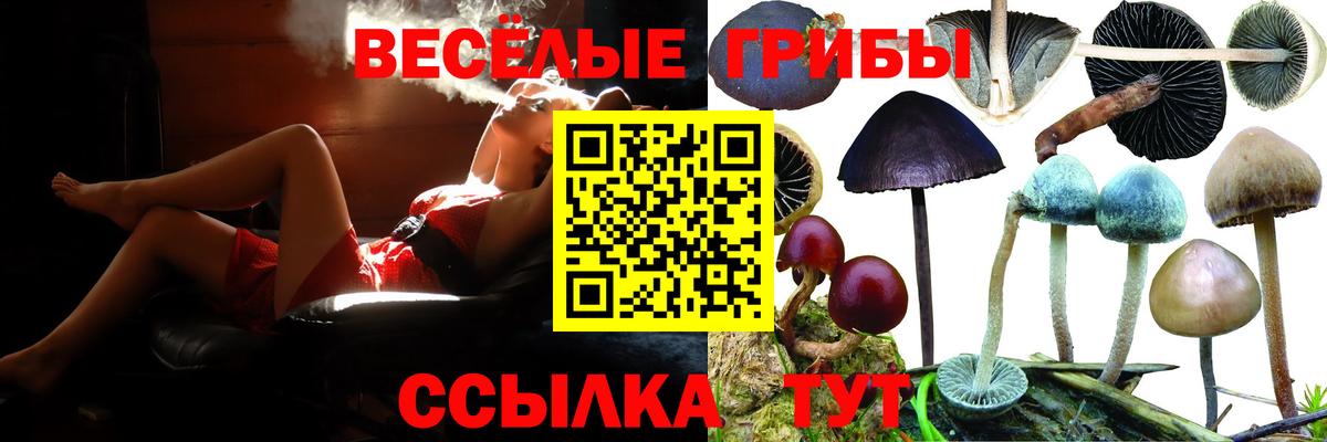 Калининград  Галлюциногенные грибы мицелий  Псилоцибиновые грибы мицелий  Вход с VPN 