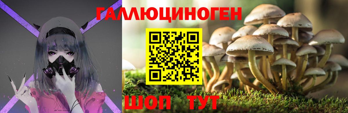 Псилоцибиновые грибы Magic Shrooms Калининград